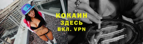 apvp Алексин
