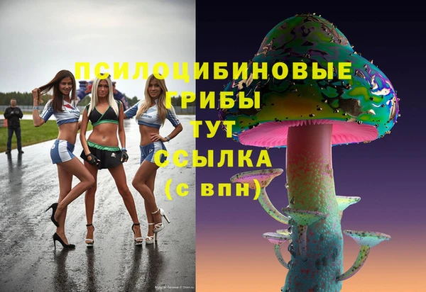 гидропоника Кукмор
