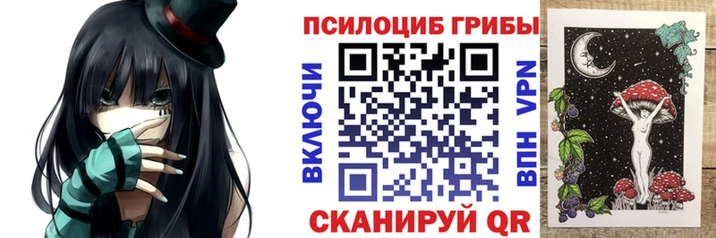 где купить наркотик  Котлас  Галлюциногенные грибы мицелий 